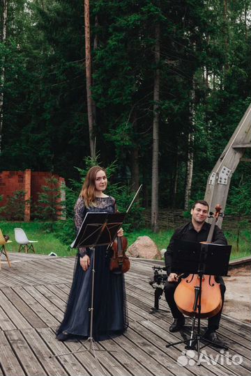 Скрипка на мероприятие