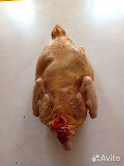 Бройлерные куры