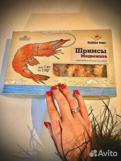 Креветка медведка, углохвостая креветка, северная