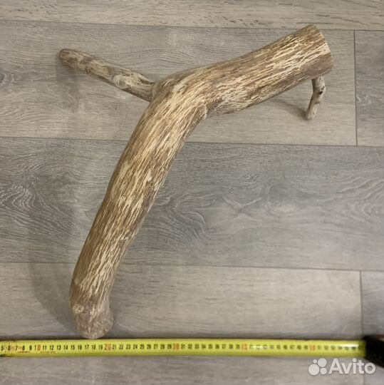 Коряги в аквариум/террариум, ракушечник