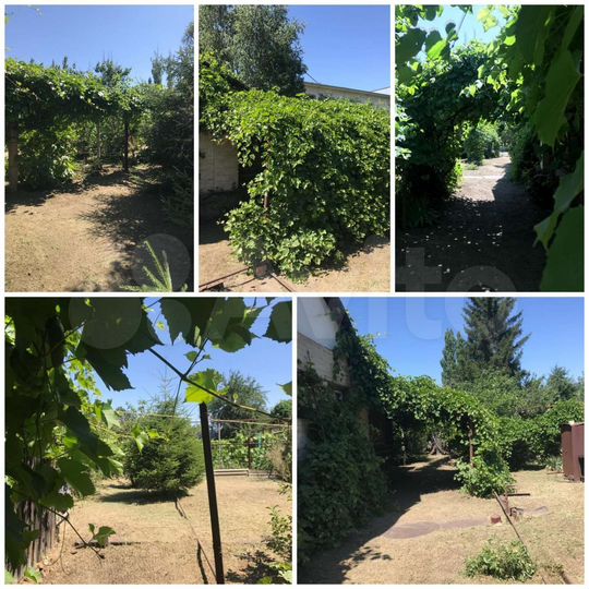 Дом 52 м² на участке 10,5 сот.