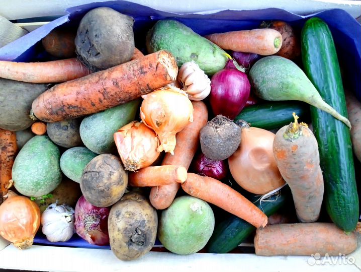 Продукты для животных: Мясо хлеб овощи фрукты