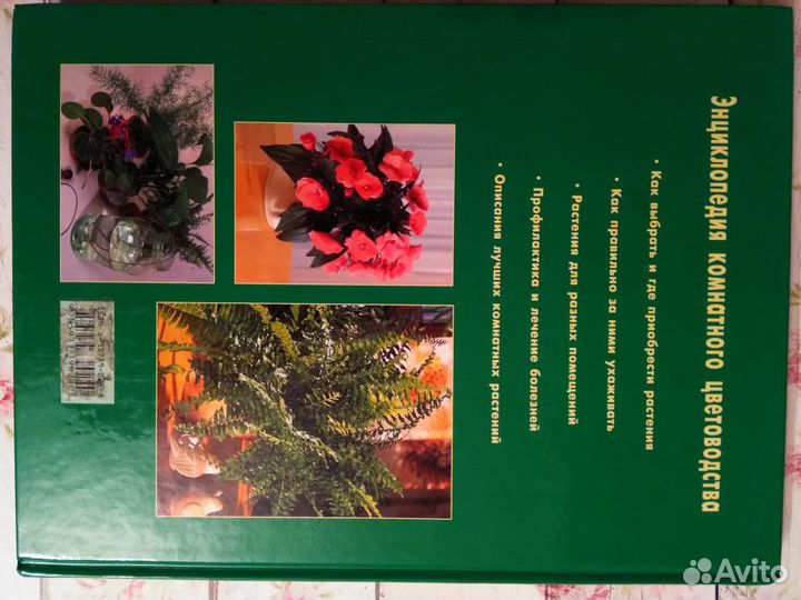 Энциклопедия комнатного цветоводства