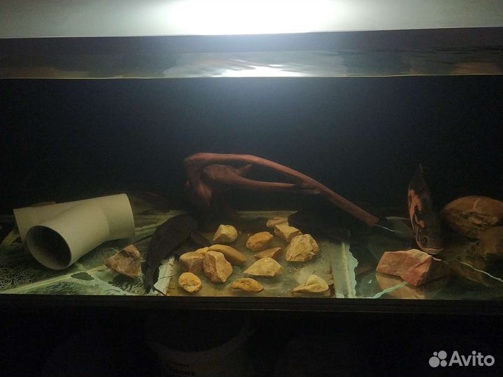 Продам аквариум