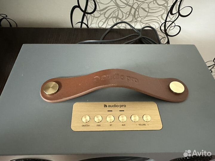 Колонка Audio pro T5