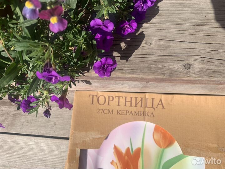 Новая Тортница Тортовница