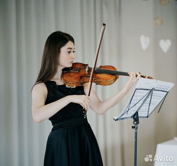 Скрипка на праздник. Воронеж, Орел