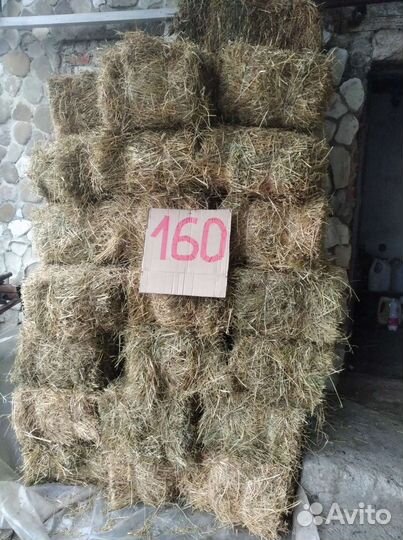 Корма для животных