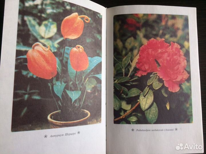 Книга «Комнатные растения», 1997