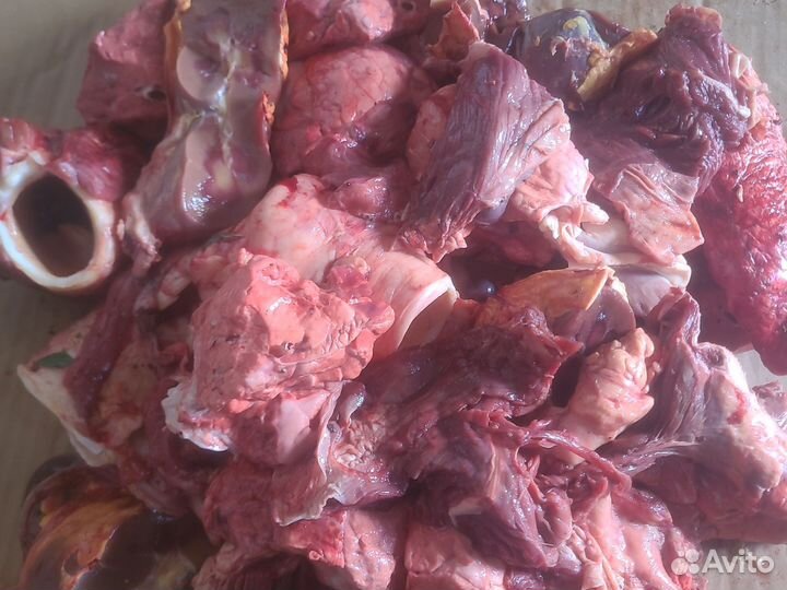 Говяжьи обрези для собак