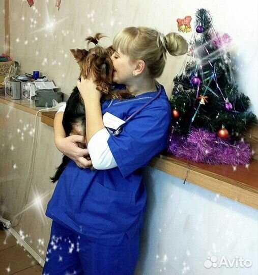 Ветеринар с выездом на дом