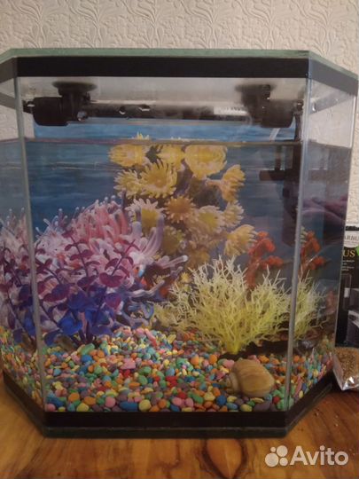 Аквариум