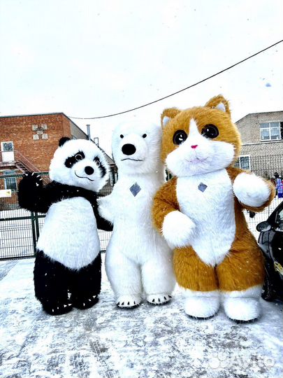 Костюм Аниматора