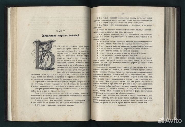 Далматов А. Д. Справочная Книжка Кавалериста. 1921