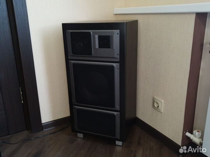 Акустическая система Электроника 35 ас 015