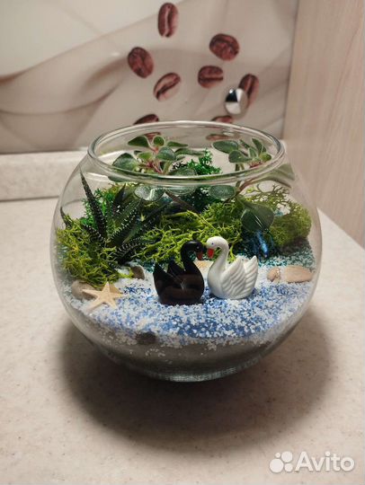 Цветочная композиция, флорариум, цветы