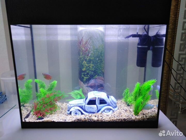 Чистка аквариумов