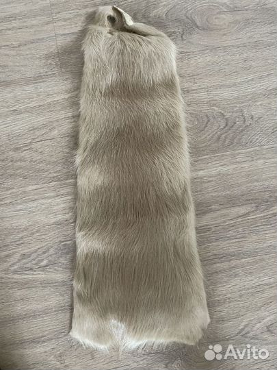 Шкурка норки