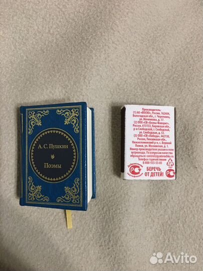 Поэмы Пушкина А.С. В миниатюре
