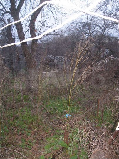 Дом 20 м² на участке 5 сот.