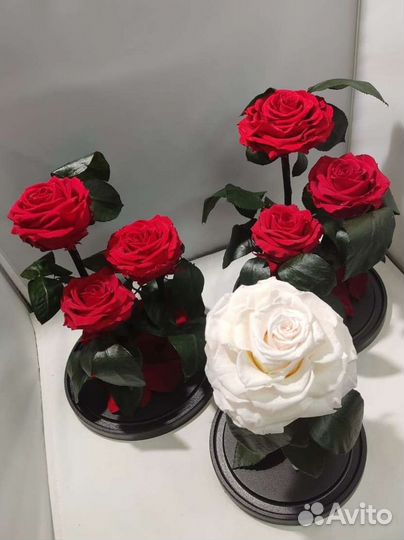 Роза в колбе