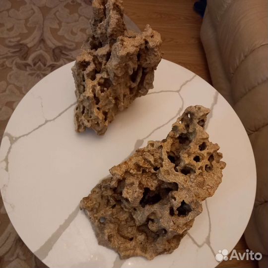 Ракушечник песчаник