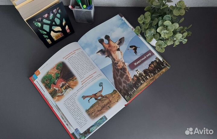 Энциклопедия детская