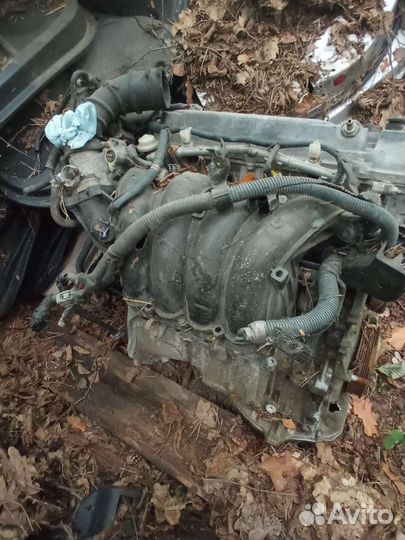 Двигатель 1AZ-FE Toyota RAV 4 Camry