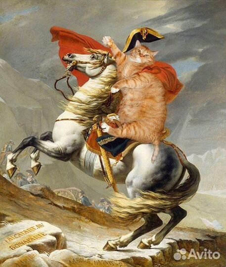 Репетитор из МГУ по истории егэ/огэ