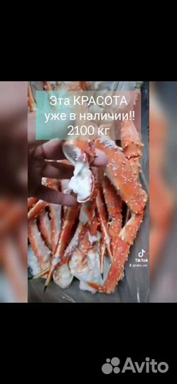 Клешни камчатского краба