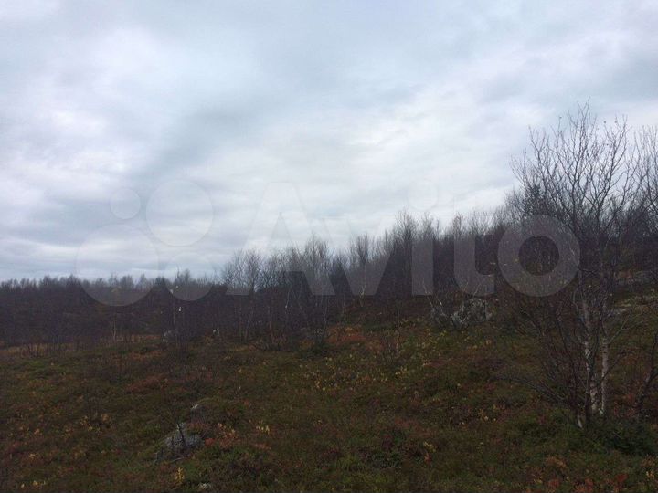 Участок 15 сот. (ИЖС)