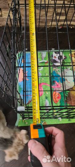 Клетка для собаки б/у
