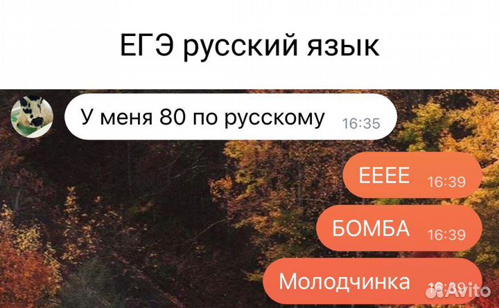 Репетитор по литературе и русскому языку