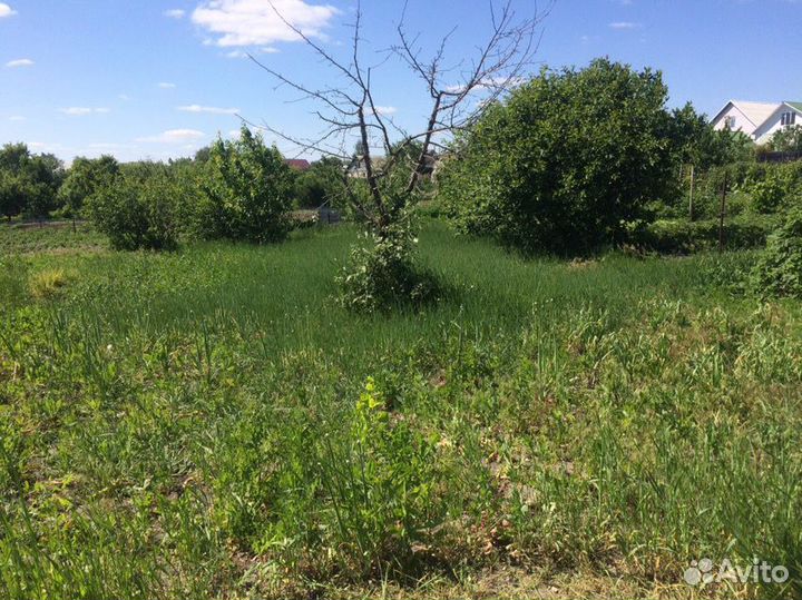 Покос травы