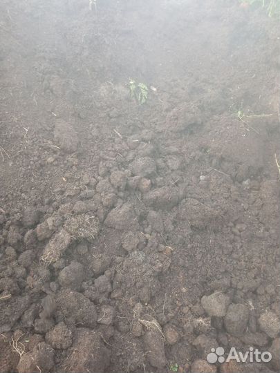 Грунт плодородный