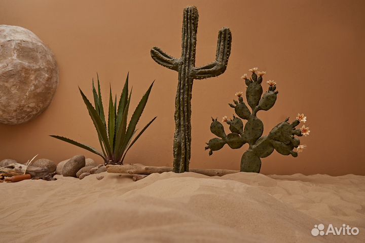 Аренда фотостудии Остров