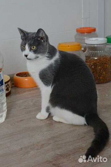 Прекрасная девочка Бусинка