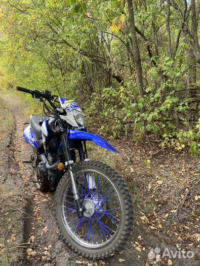 Racer Panther RC300-GY8X