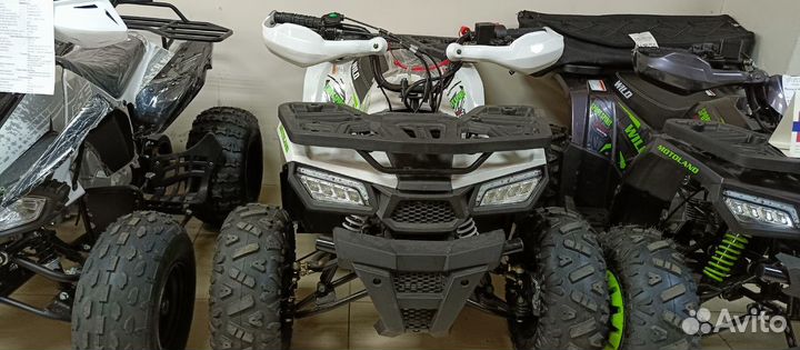 Квадроцикл Motoland wild 125