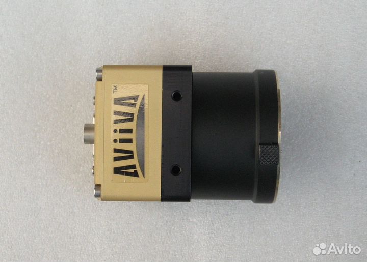 Линейная сканирующая камера aviiva M2CL2010