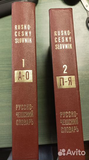 Русско-чешский словарь