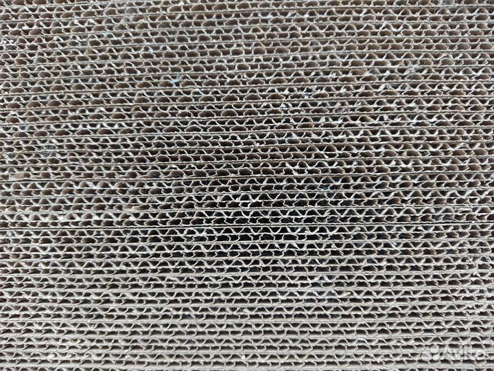 Когтеточка