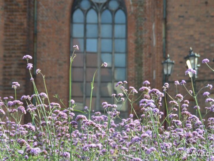 Экскурсия — Рига — История, Архитектура И Легенды