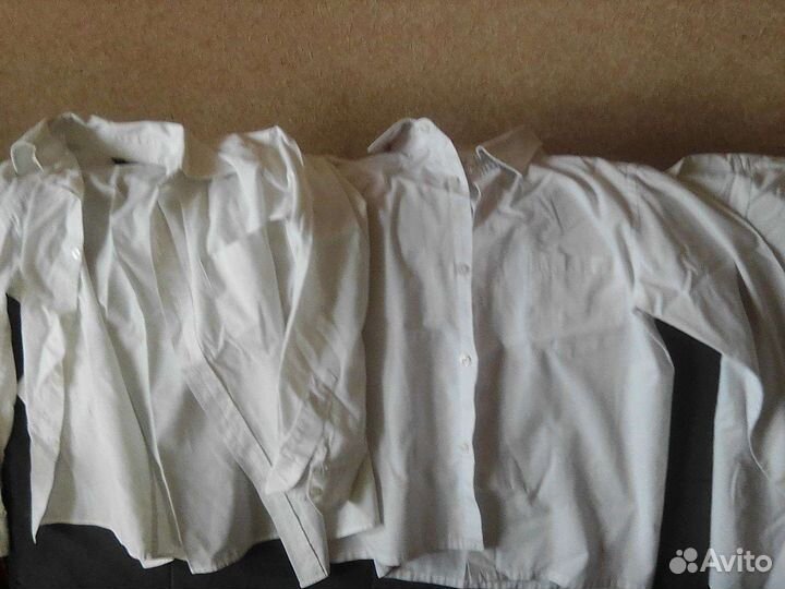 Рубашки, поло, джемпер, водолазки