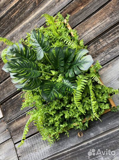 Фитокартины