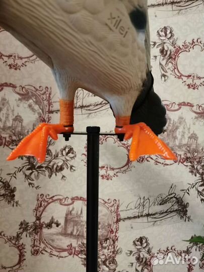 Чучело Утки Махокрыл