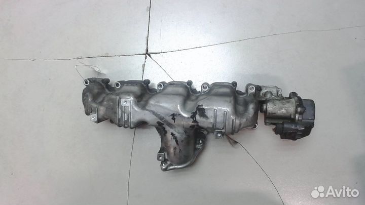 Коллектор впускной Audi A3 (8PA), 2009