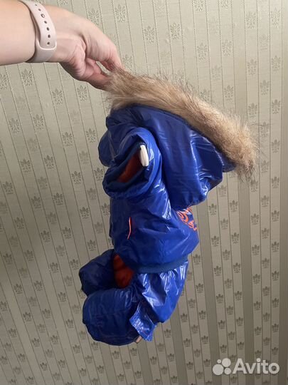 Одежда для собак, размер L