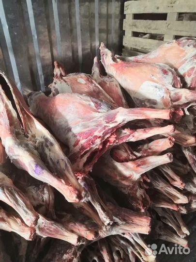Баранина оптом