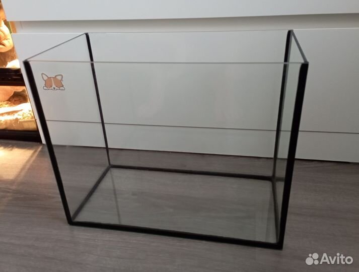 Террариум и аквариум